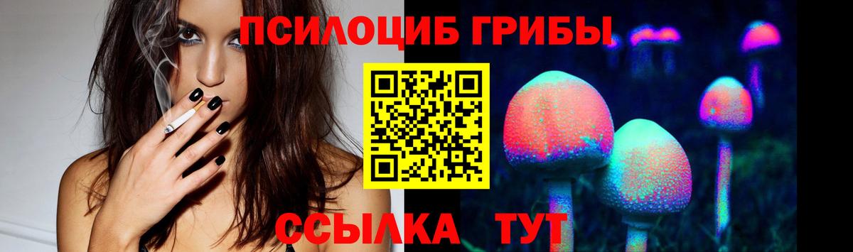 Заинск  Псилоцибиновые грибы Cubensis  где можно купить наркотик  Вход с VPN 