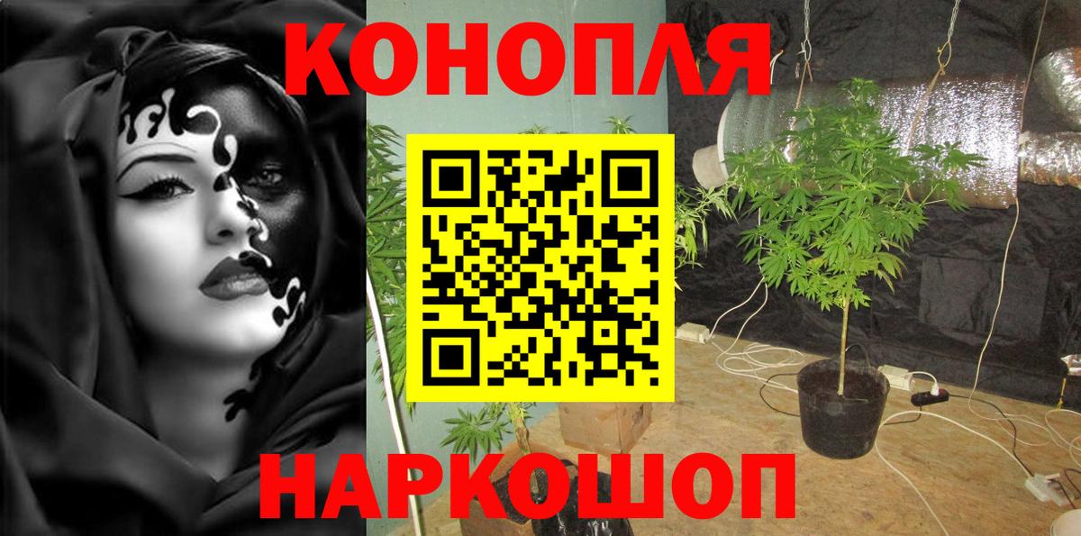 Каннабис ГИДРОПОН Заинск